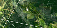 Osmose - Forest Grid - Click for enlargement