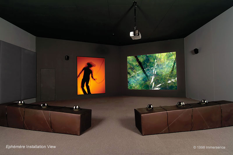 Installation view from 2003 of Osmose at the Australian Centre of the Moving Image, Melbourne, showing the audience's dual view of the shadow of the 