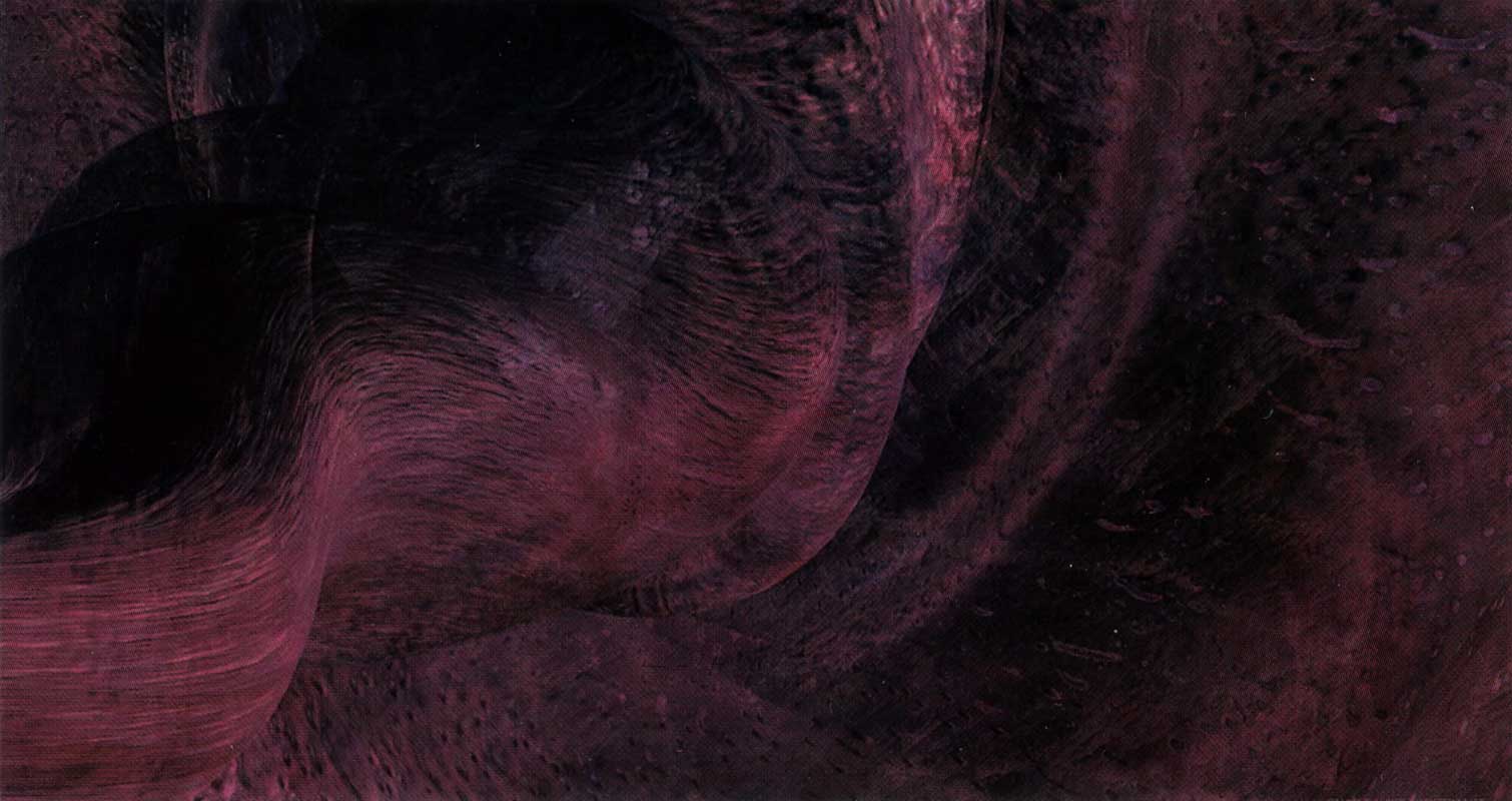 Char Davies - ROOT, 1991 - Photographic transparency, 42 x 72