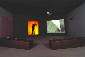 Exhibit room showing immersant shadow screen and the public viewing screen.